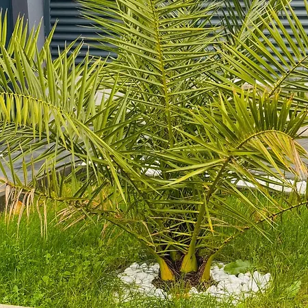 Design-villa Mit Privatem Pool & Stimmungsvoller Beleuchtung Villa