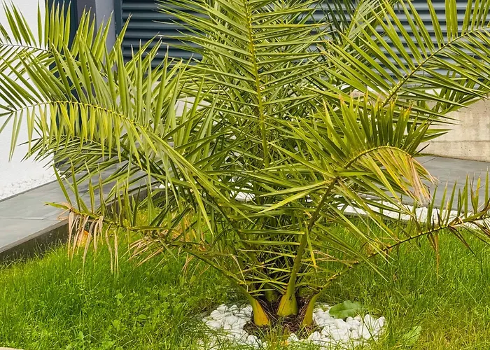 Design-villa Mit Privatem Pool & Stimmungsvoller Beleuchtung Vila